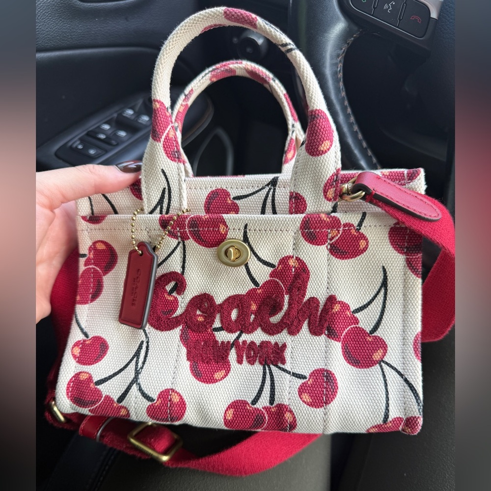 Coach Beige Signature Bag